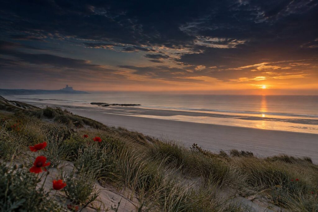 Plage de Normandie à l'aube avec coquelicots sous un ciel bleu nuit et ambré